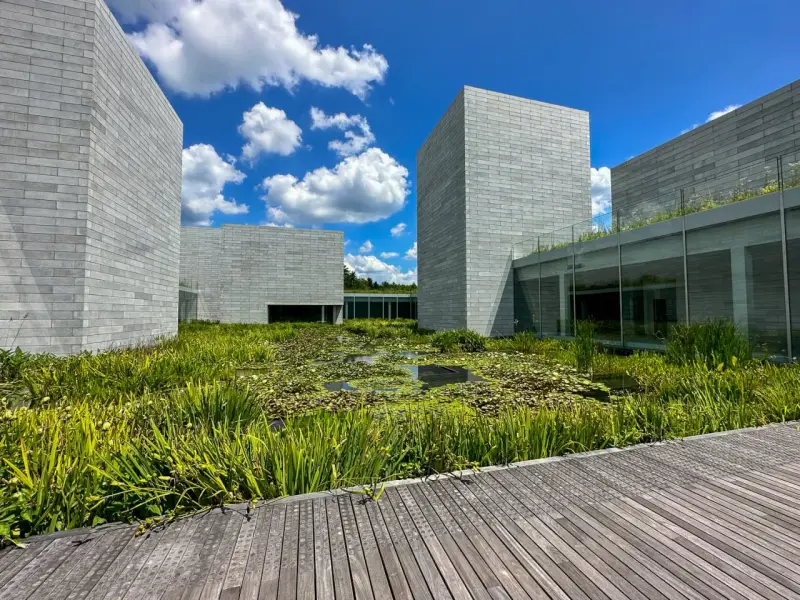Modern architecture at Glenstone Museum, with grey brick buildings surrounding a lush pond filled with water lilies and reeds.